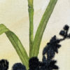 Saying Hello! - Image 2